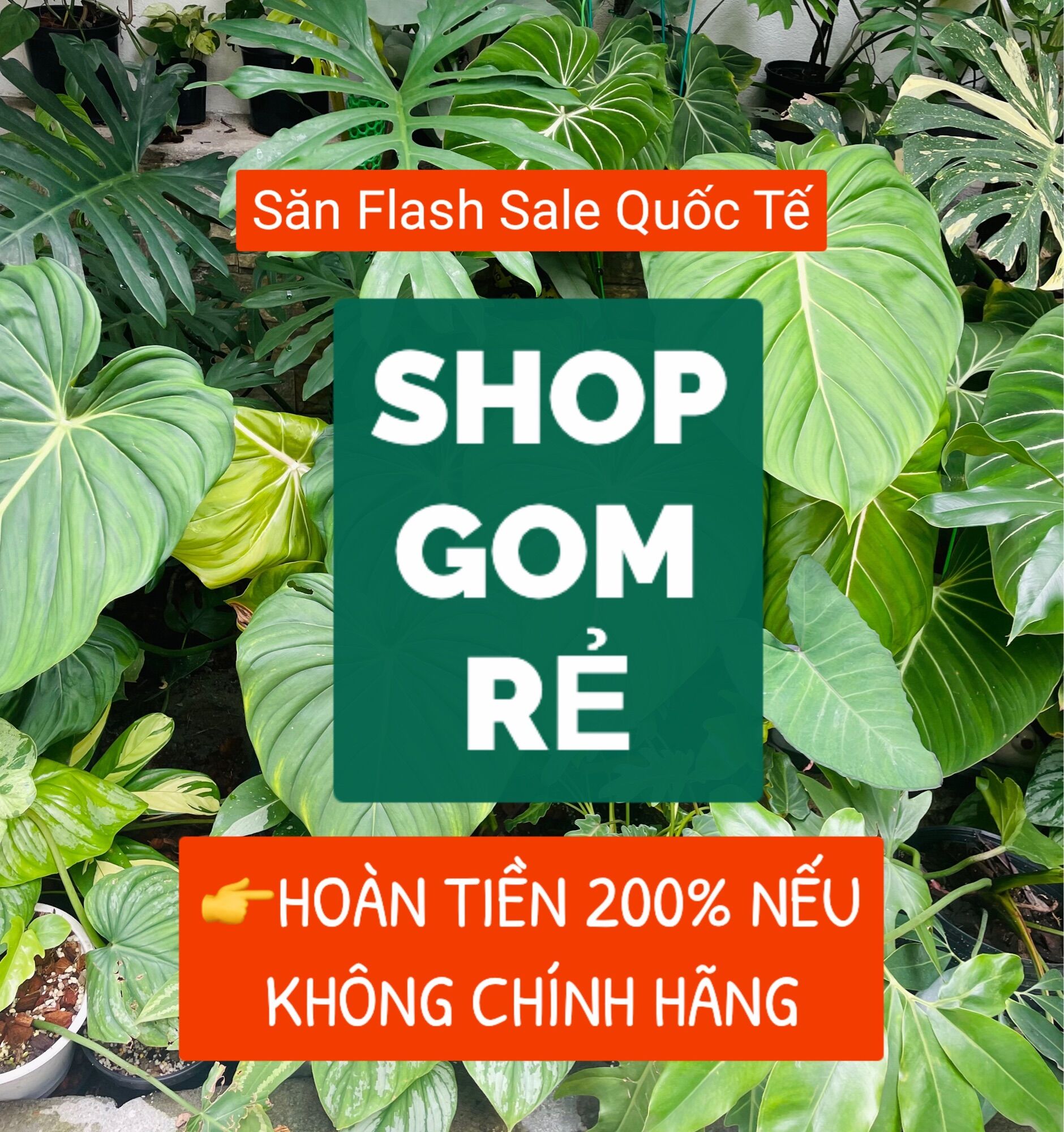 Miếng dán chắn sóng điện từ mạ vàng 24k