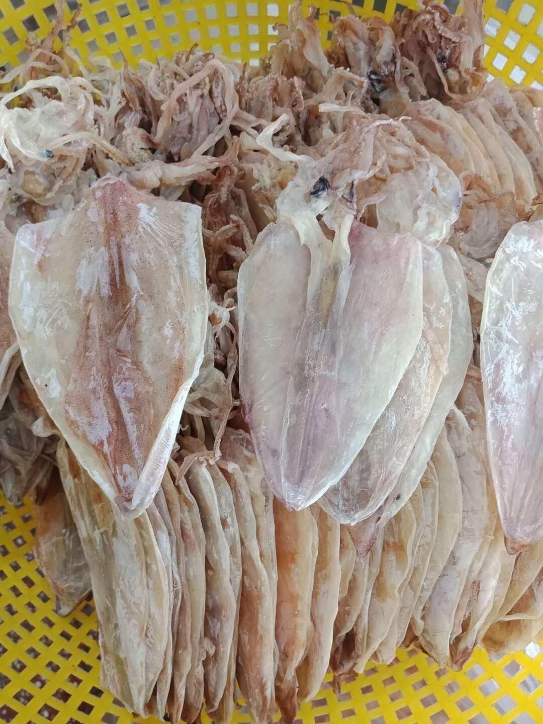 Mực 45 - 50 con 1kg Trắng đẹp