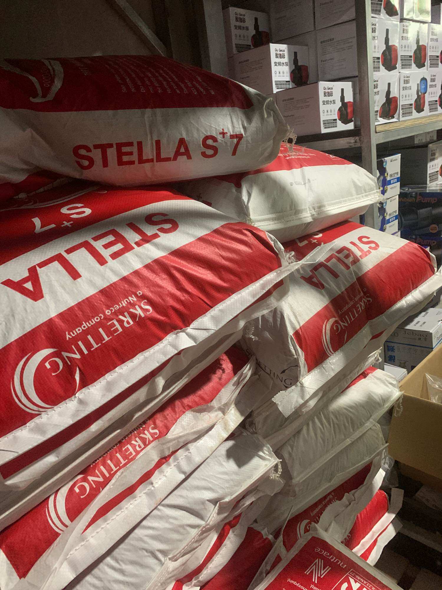CÁM STELLA 5kg