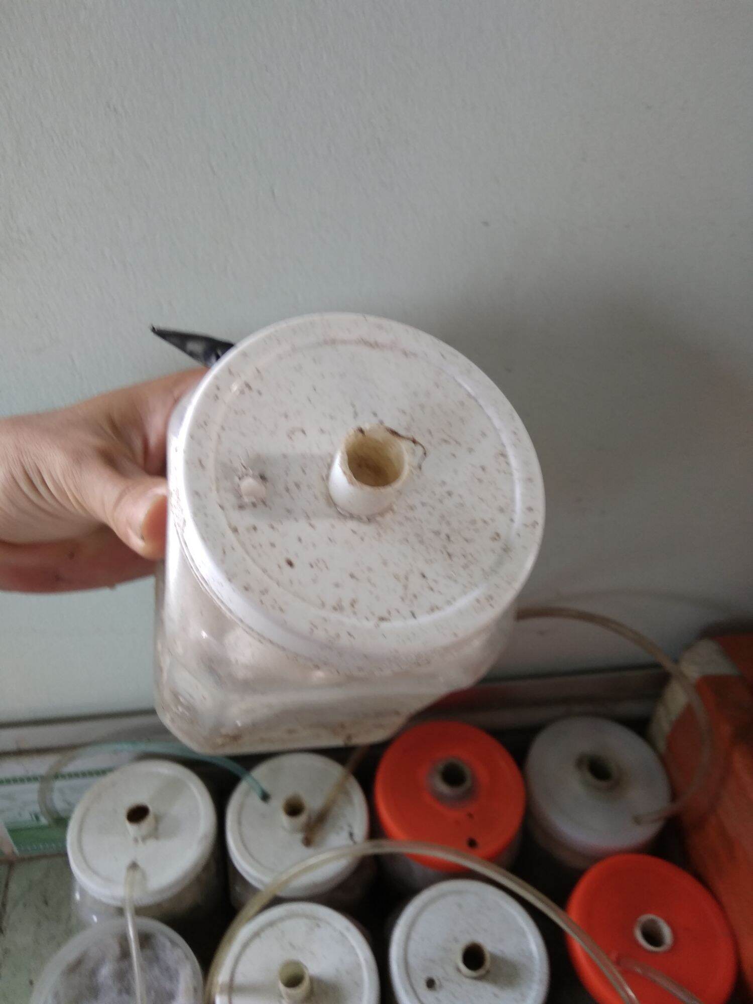 lọc bio chế cũ full vật liệu và bông