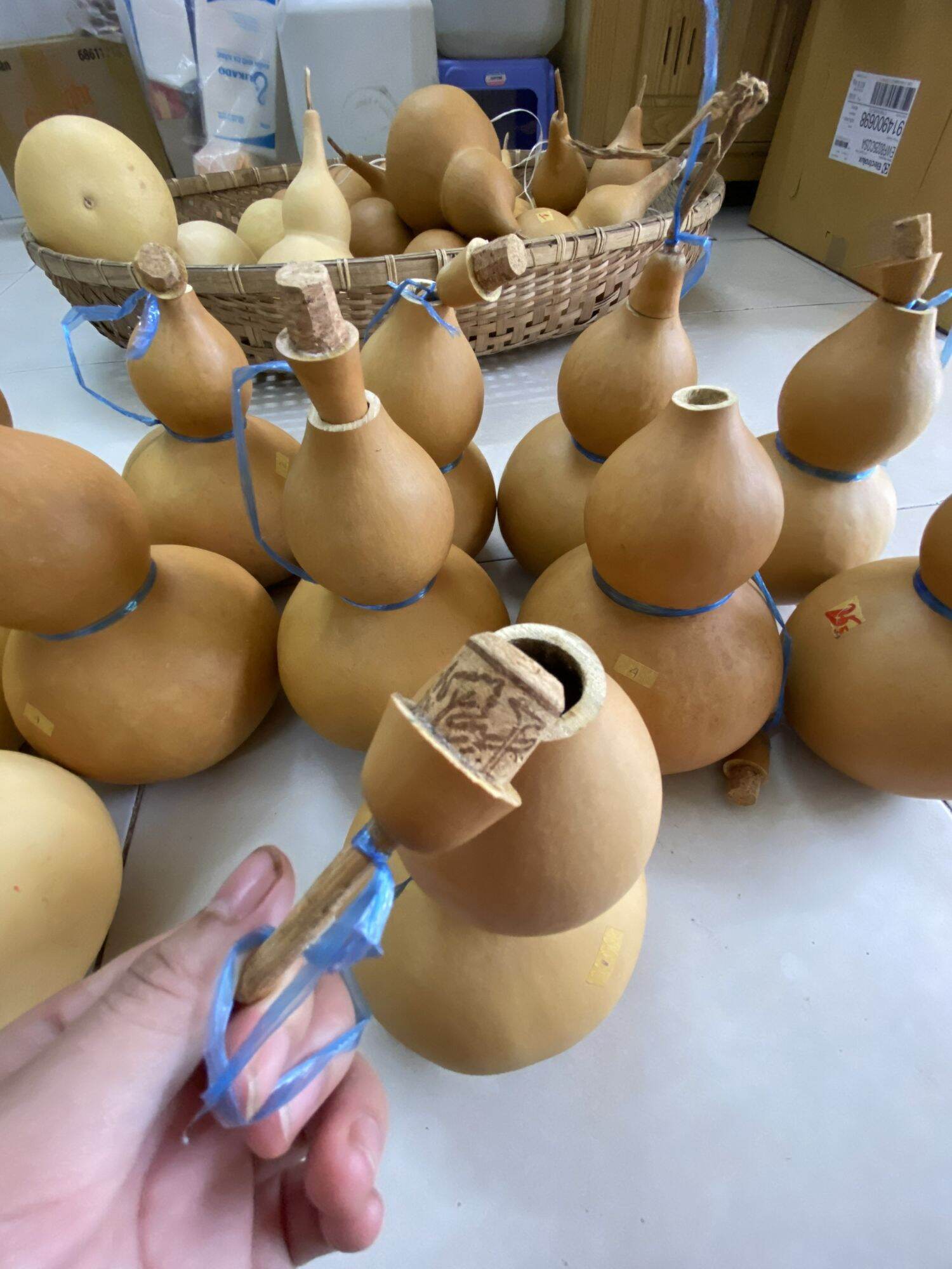 BẦU HỒ LÔ ĐỰNG NƯỚC SIZE LỚN
