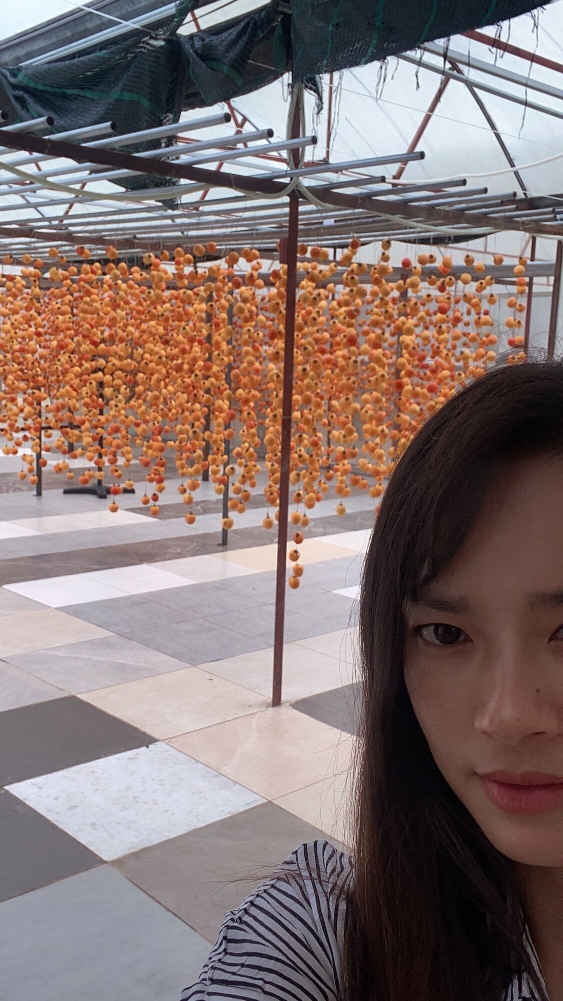 Hồng treo gió Đà Lạt gói 500g