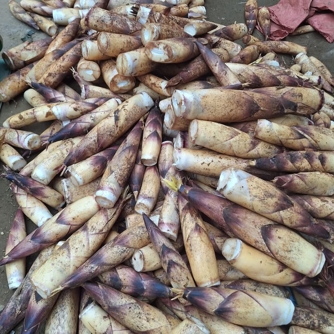 Măng vầu ngọt Tây Bắc 1kg