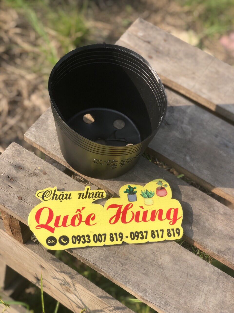 Combo 100 chậu C9 thương hiệu Quốc Hùng
