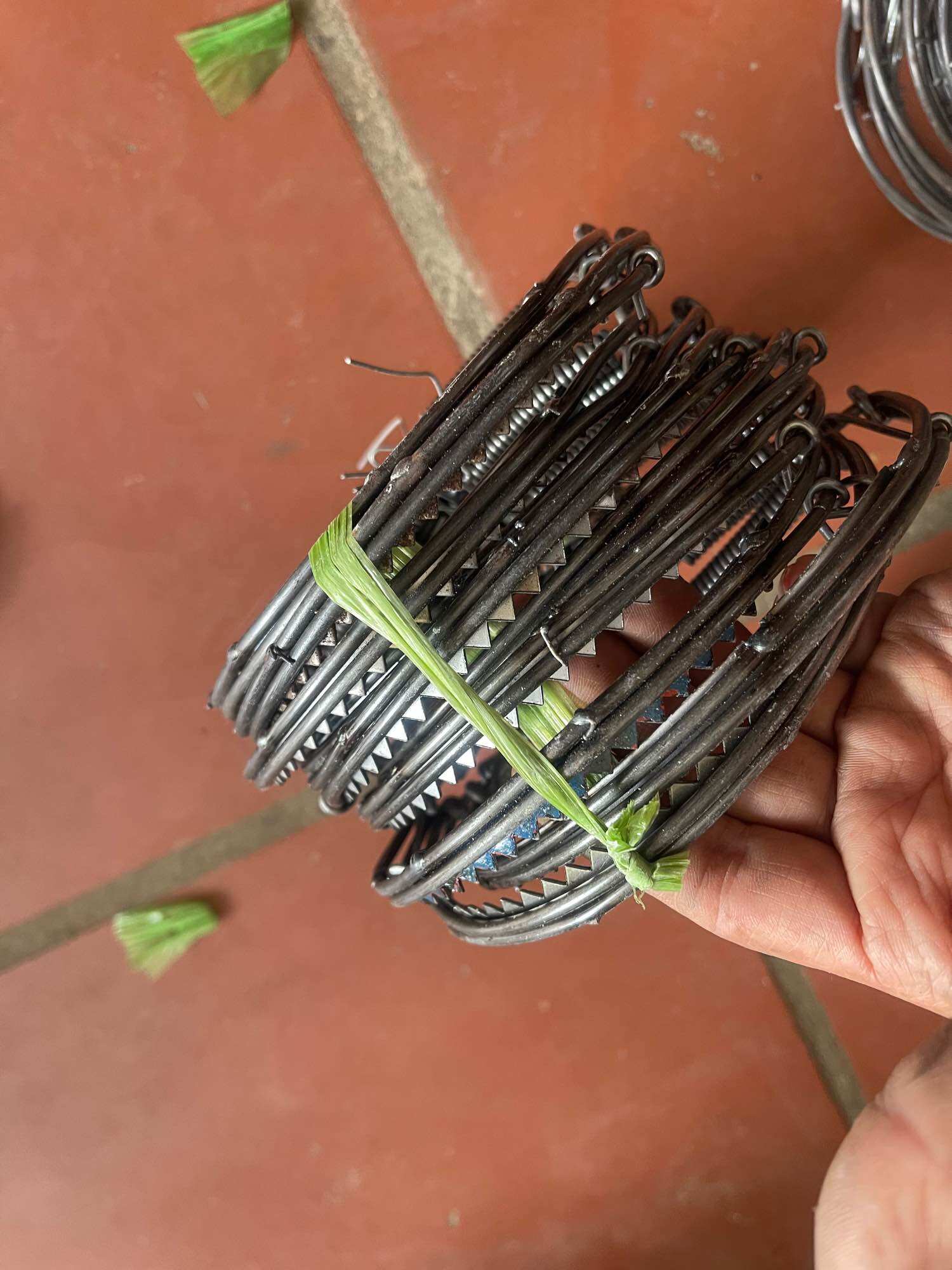 10 BẪY CUNG DIỆT CHUỘT HIỆU QUẢ 3 cỡ