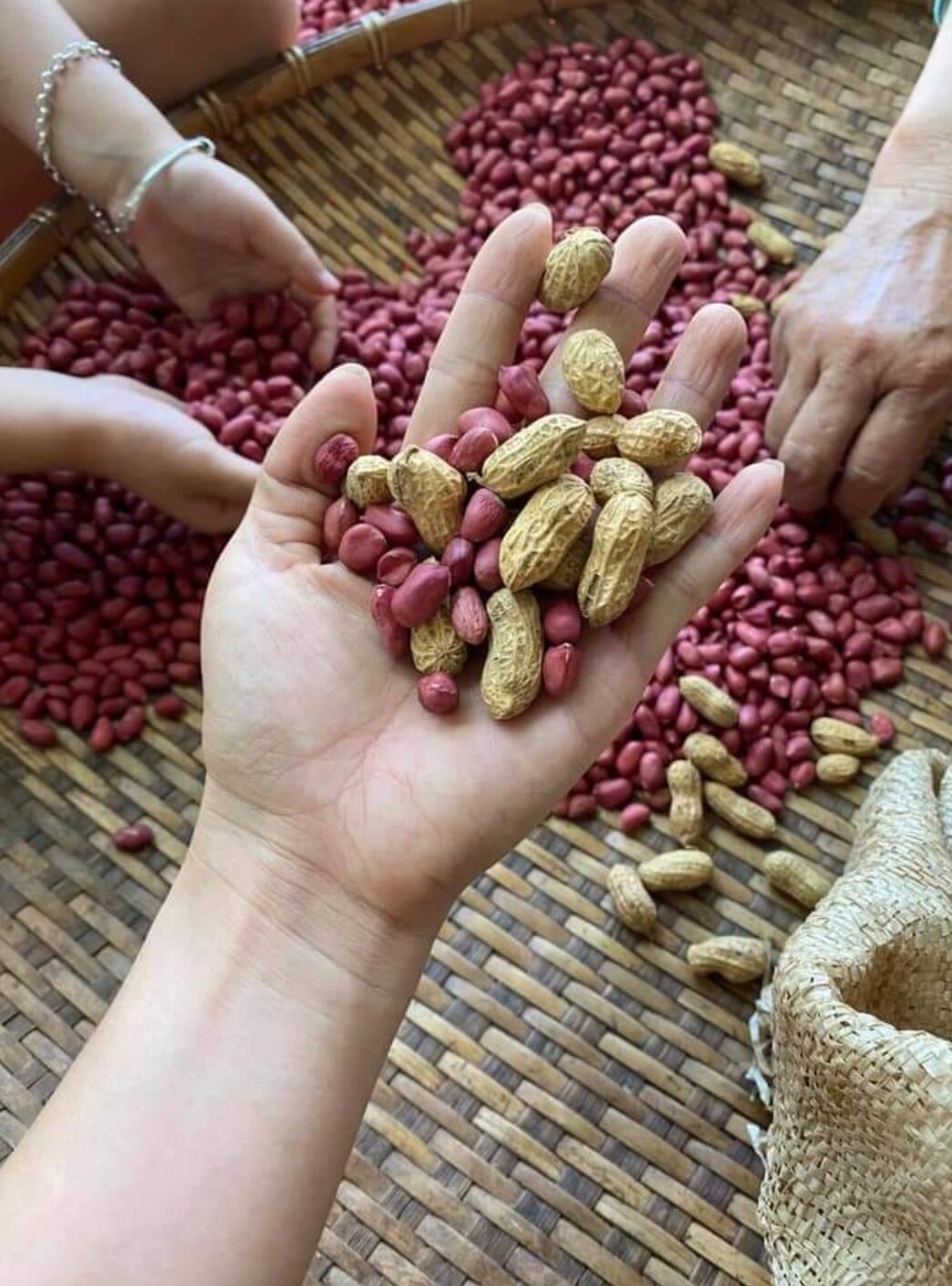 1kg Lạc đỏ giống cũ