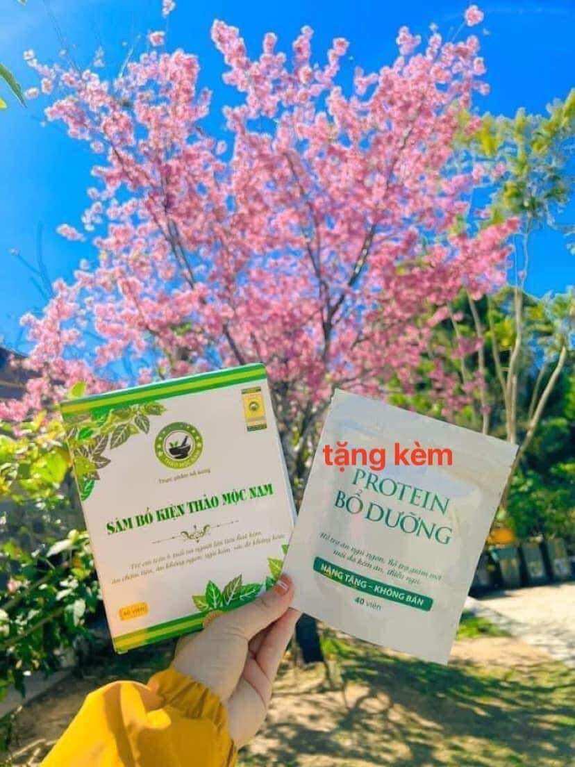 Tăng cân sâm bổ kiện thảo mộc nam