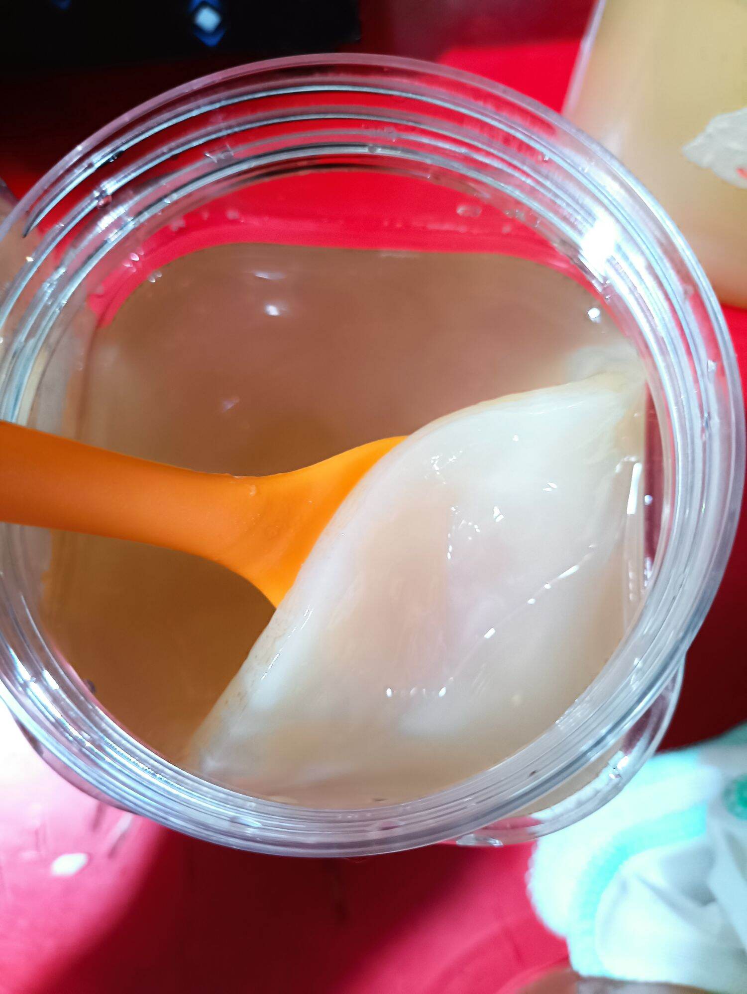 Giấm Nuôi có con giấm dày, to (Ảnh thật)