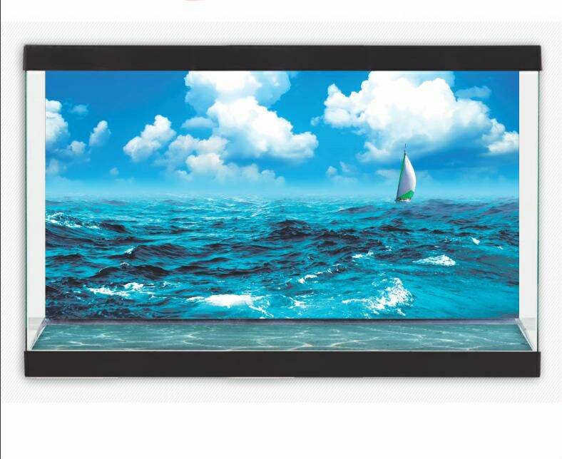 Tranh 3d dán hồ cá decal vip- in theo kích thước hồ