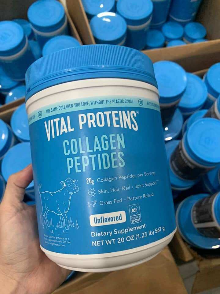 Collagen thủy phân Vital Protein