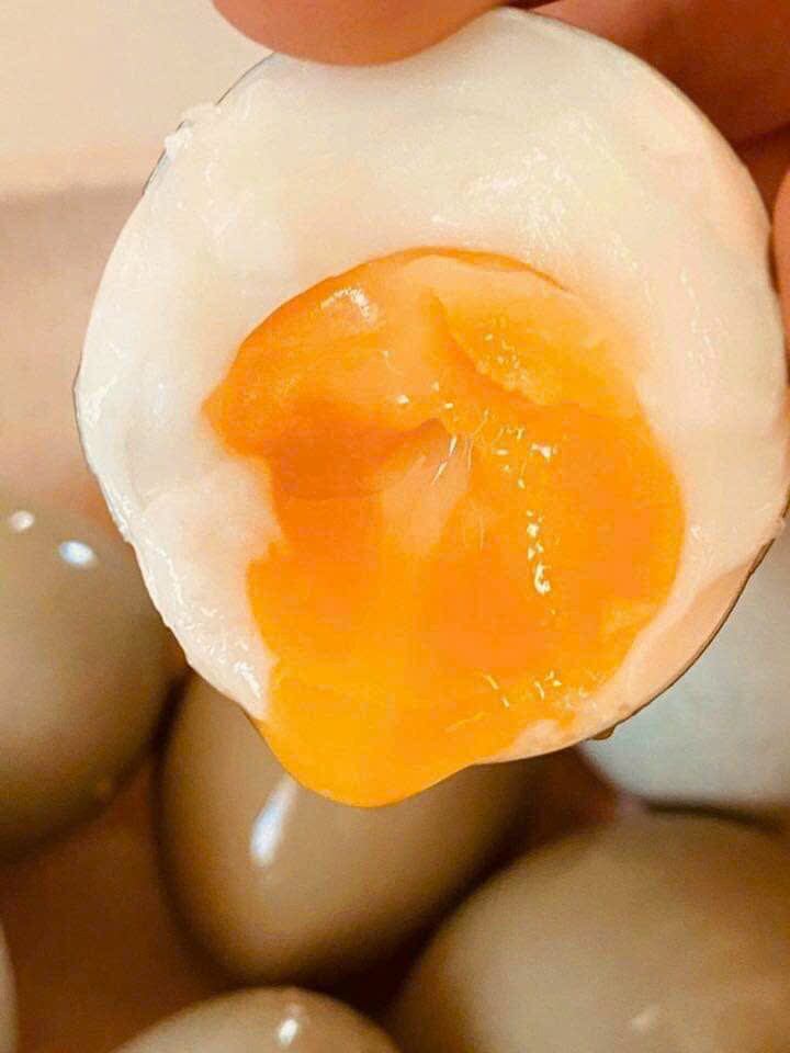 10 trứng chim trĩ ăn nhà nuôi