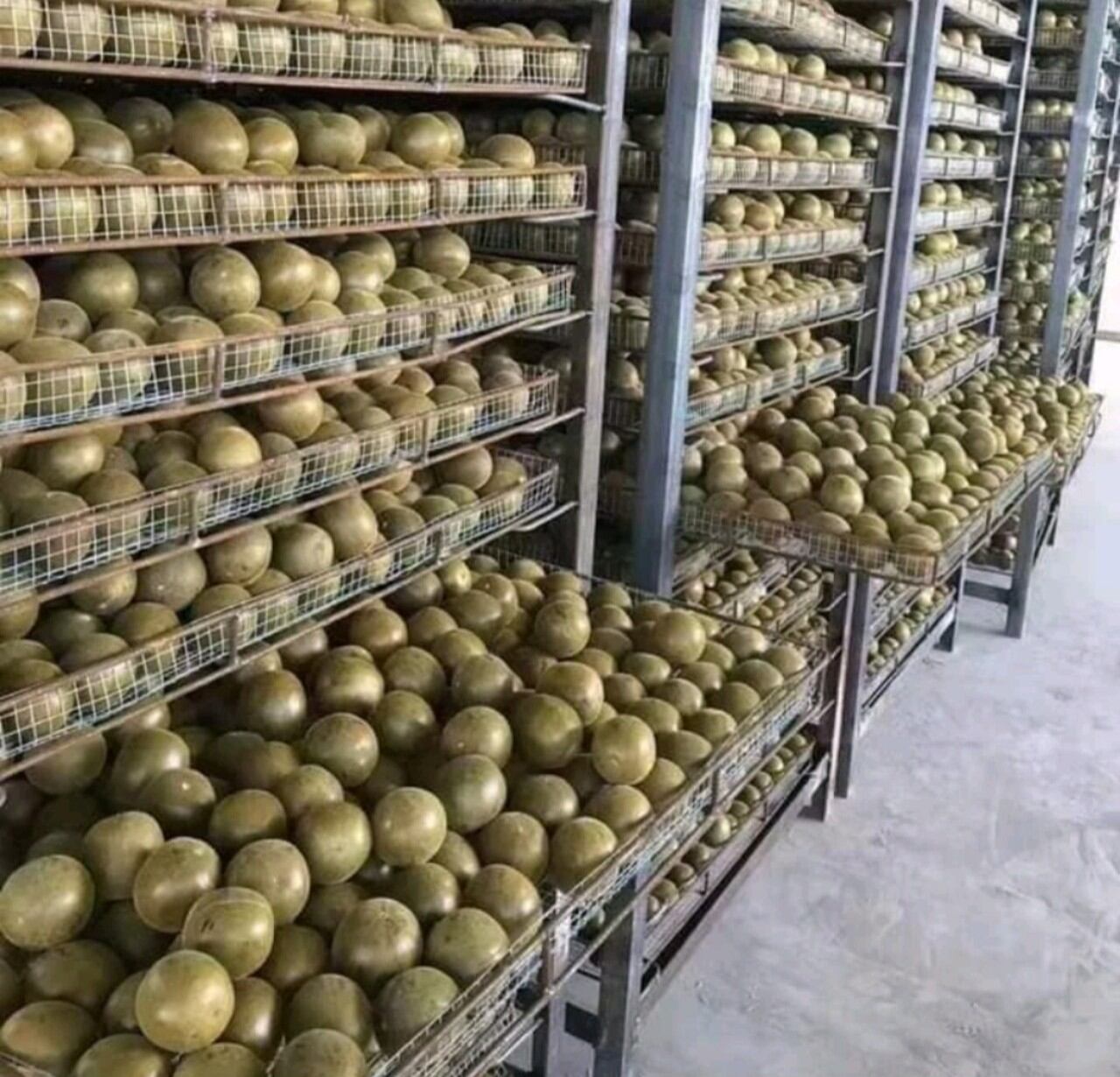 100g La Hán Quả, Thanh Mát Giải Độc