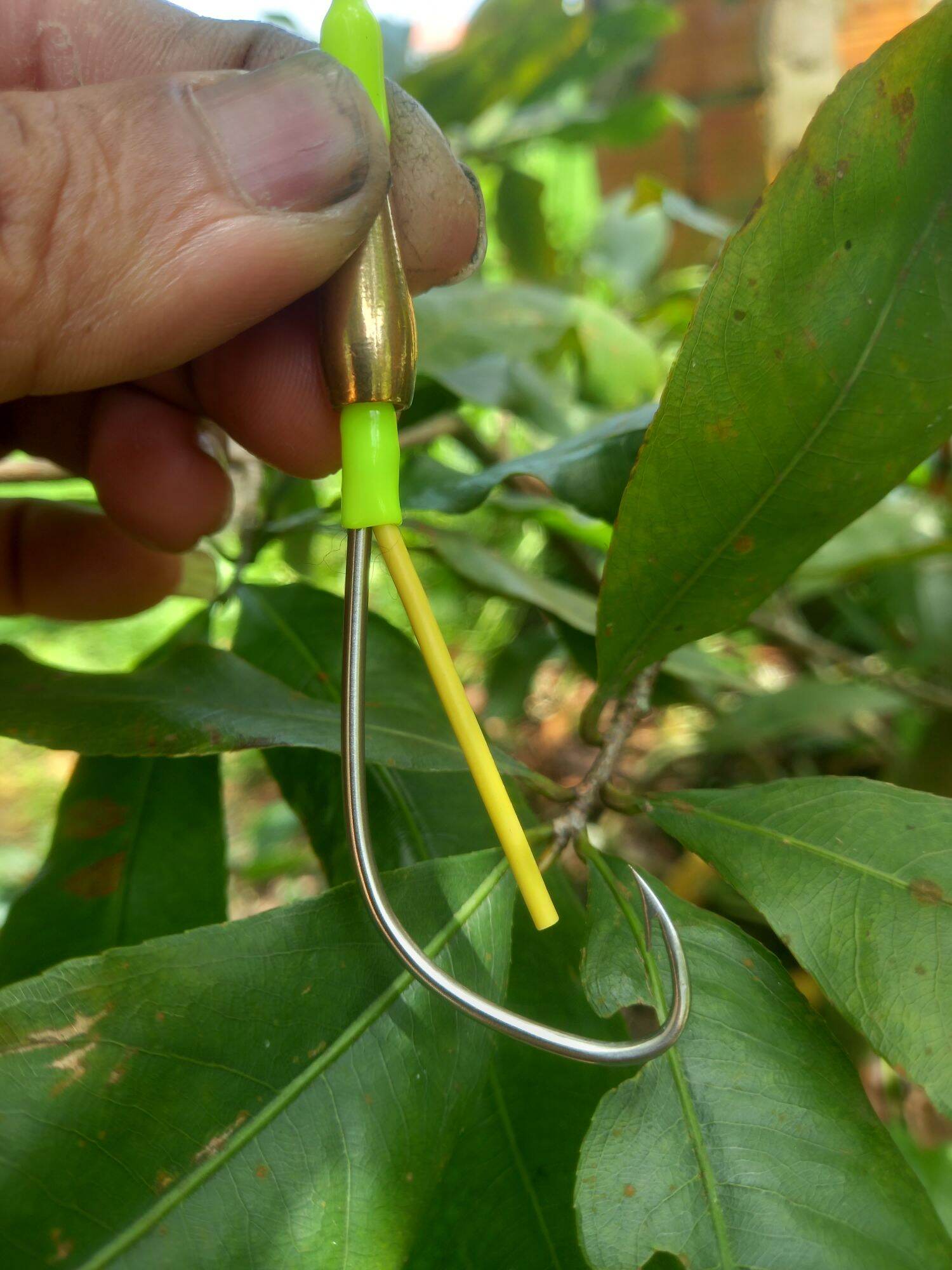 Lưỡi móng heo siêu đẹp