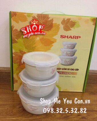 Bộ 3 bát sứ donghwa của sharp