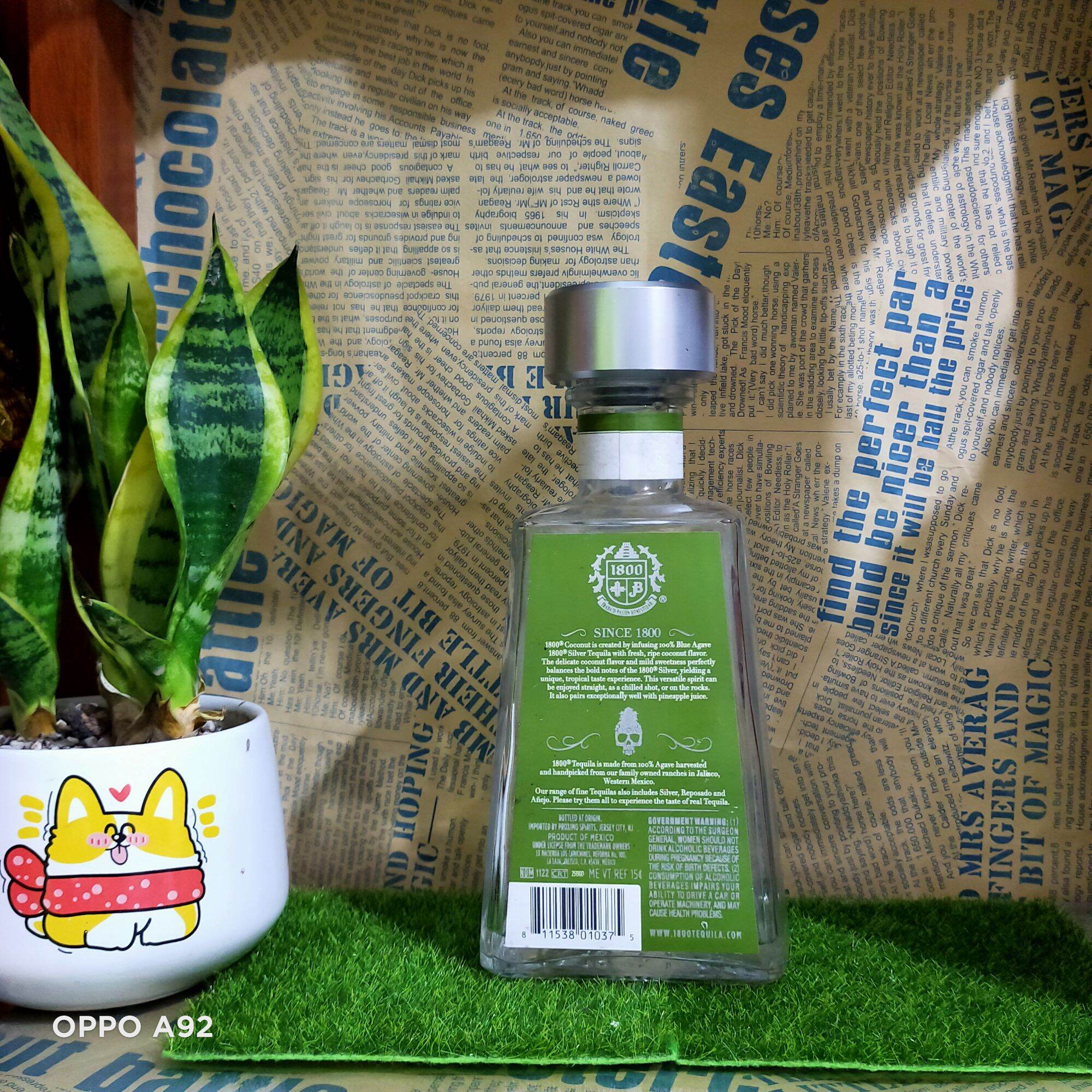 vỏ chai thuỷ tinh 1800 dáng tháp độc lạ đẹp
