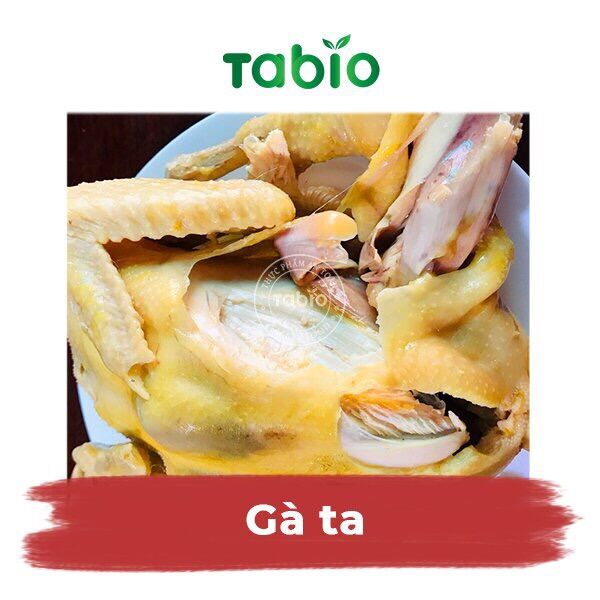 HCM - Gà ta 1,2kg - 1,3kg - TABIO
