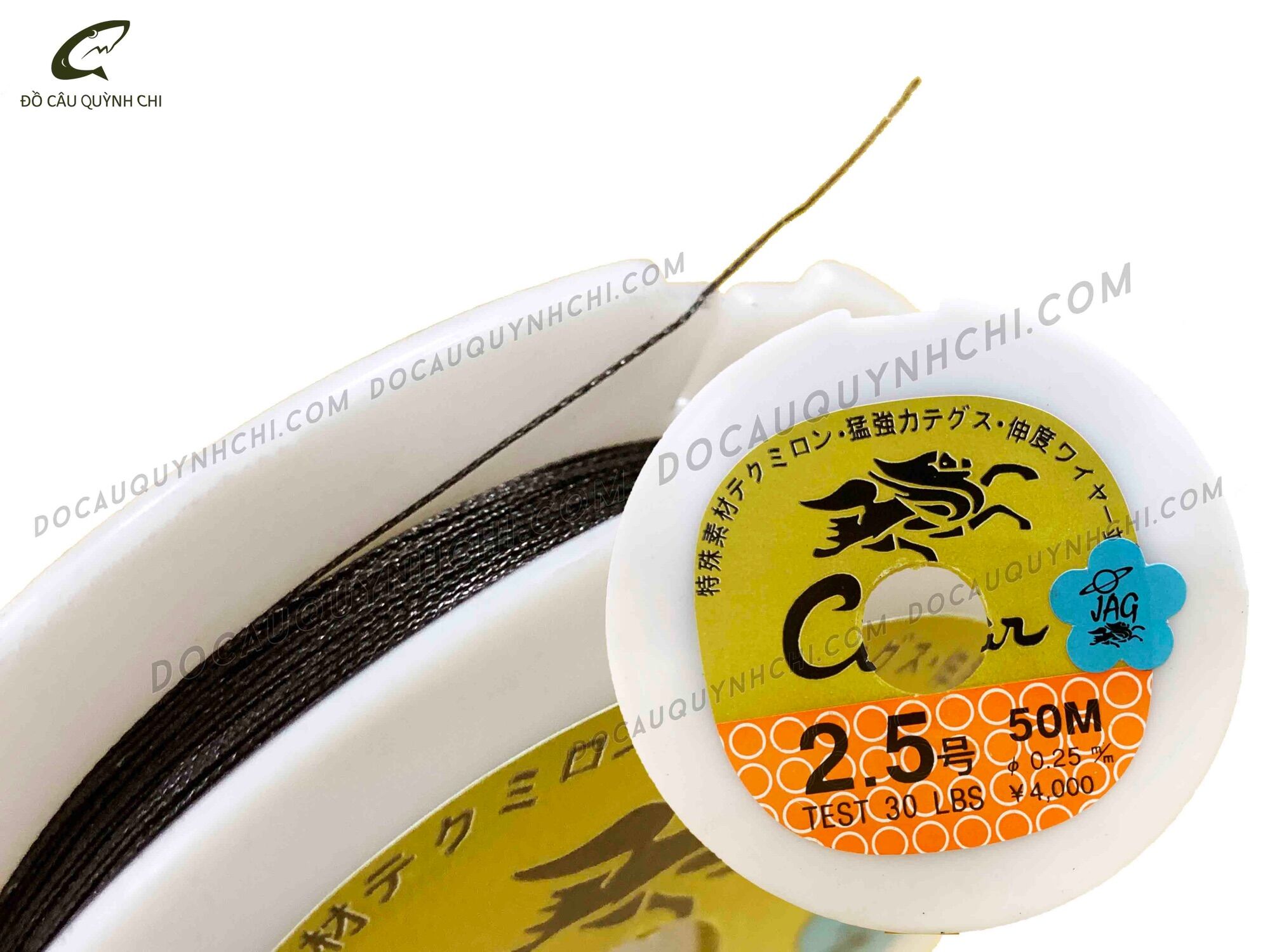 DÙ RỒNG - 50M [ĐỒ CÂU QUỲNH CHI - MINH HG]