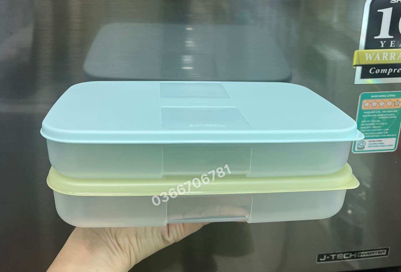 Set 2 hộp đông dẹp 650ml
