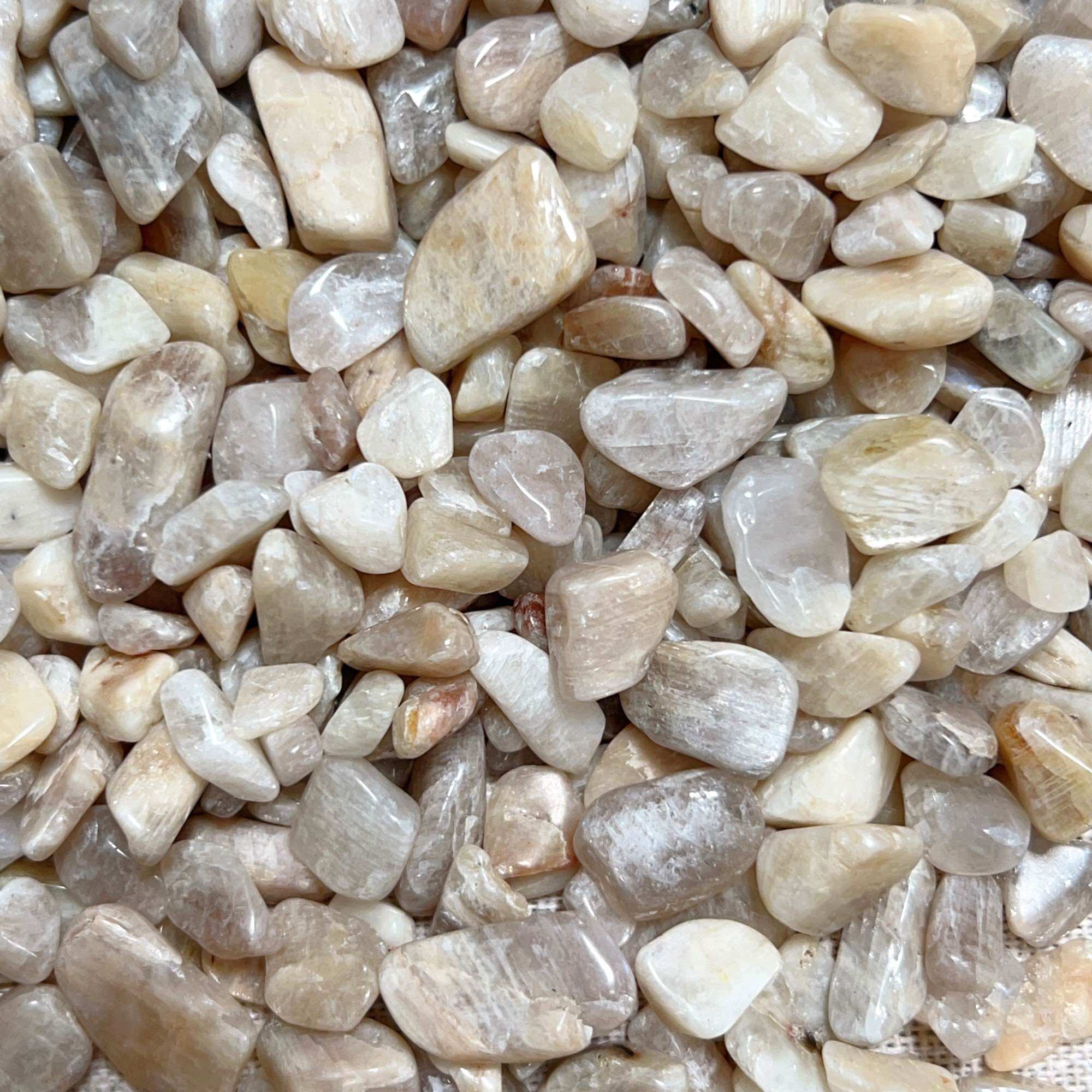 100g Vụn đá Moonstone - Đá mặt trăng tự nhiên