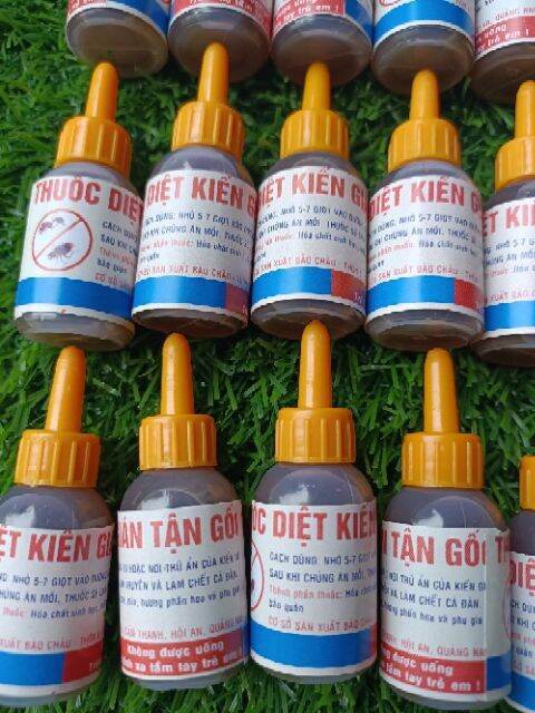 thuốc diệt kiến dán tận gốc sinh học