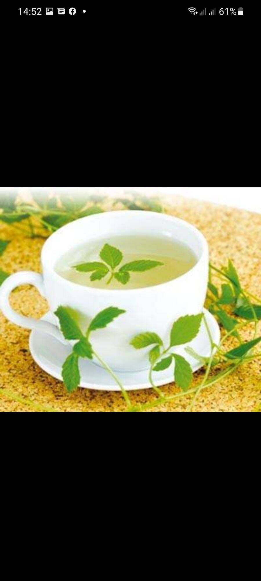 giảo cổ lam 5 lá