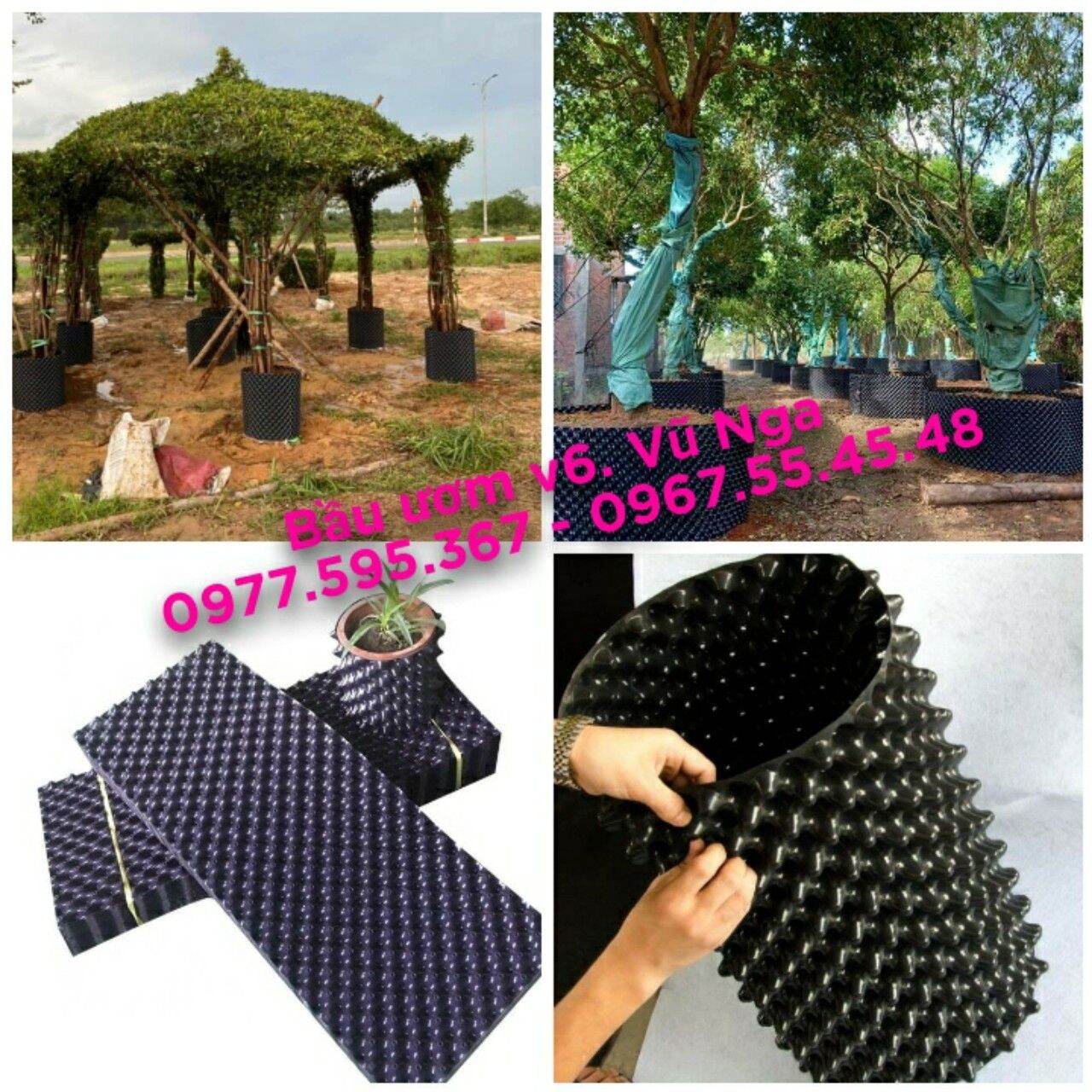 Bầu ươm v6 cao 60cm dài 25m tặng ốc vít loại o.7mm