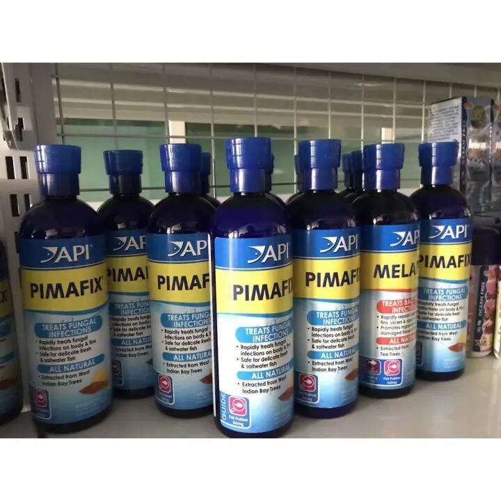 Api pimafix - ngừa nhiễm nấm, khuẩn hại ở cá cảnh 237ml