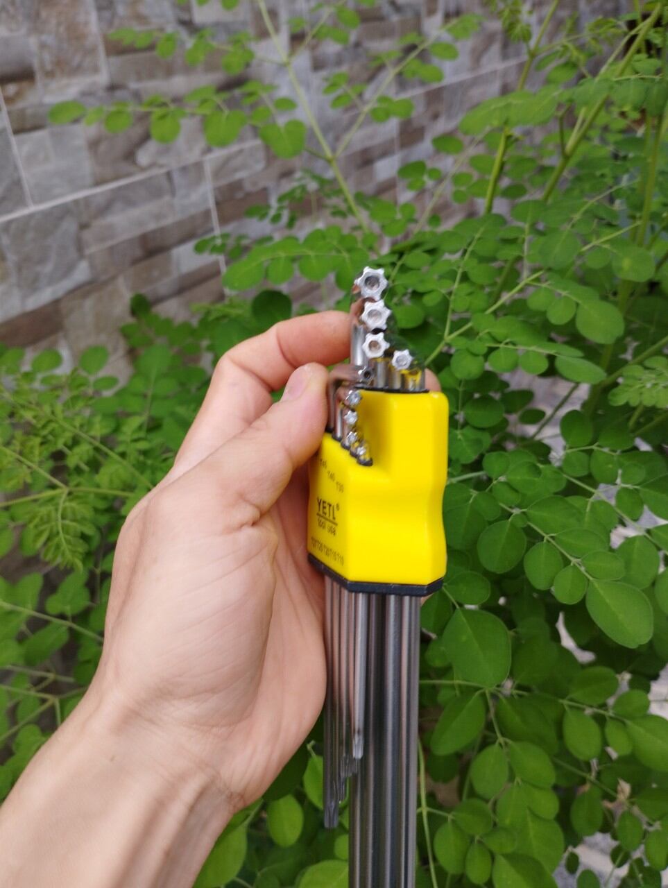 Bộ lục giác Bi hoặc Hoa Thị Yeti