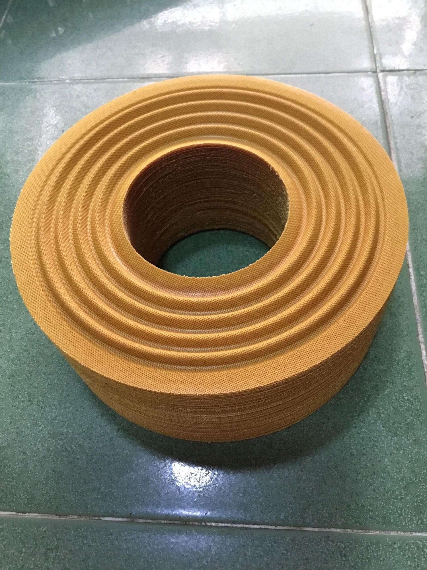 1- NHỆN LOA VÀNG 23CM LỖ COIL 100 BẰNG