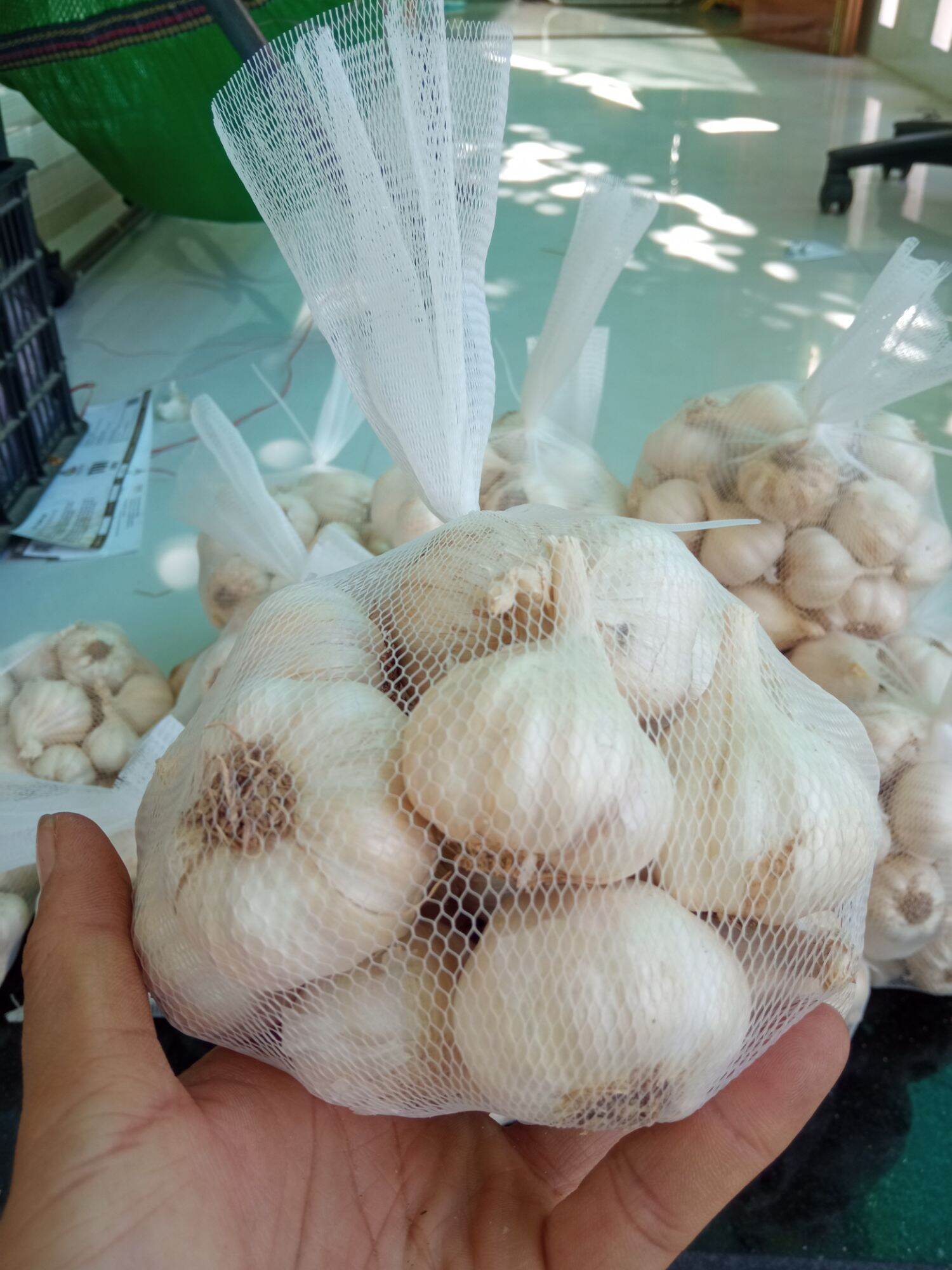 500g tỏi phan rang loại 1