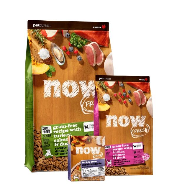 Hạt thức ăn chó Now Fresh hương thơm hấp dẫn dành cho chó kén ăn