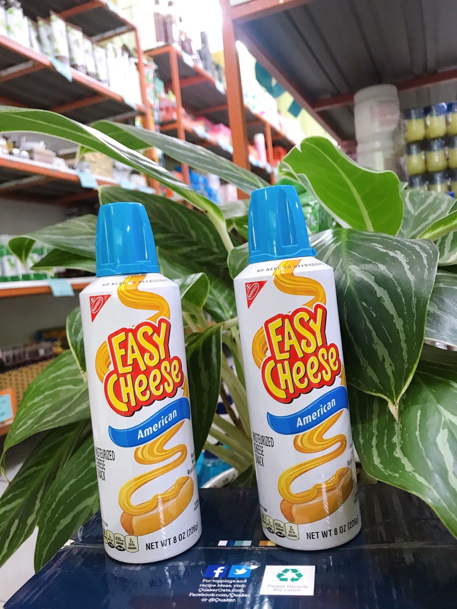 Phô mai dạng xịt  Easy Cheese 🧀🧀🧀