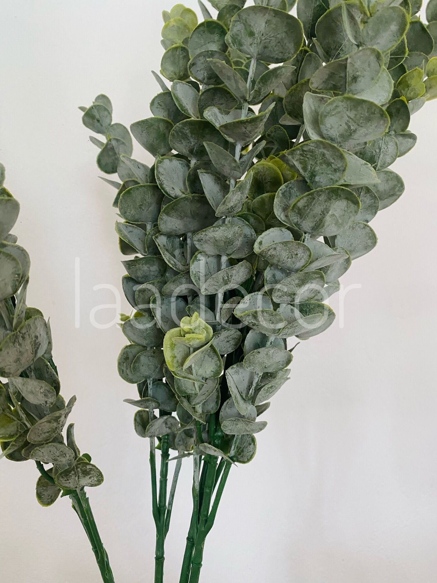 Lá cây bạch đàn trang trí - decor (Ảnh+video thật)