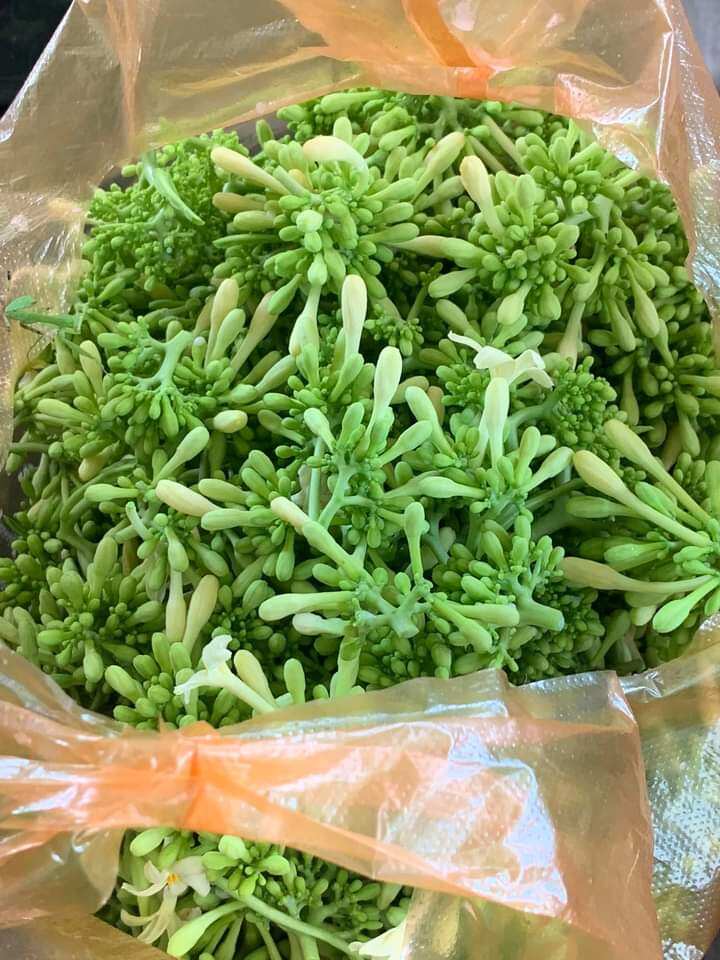 Bông Hoa Đu Đủ Đực Tươi