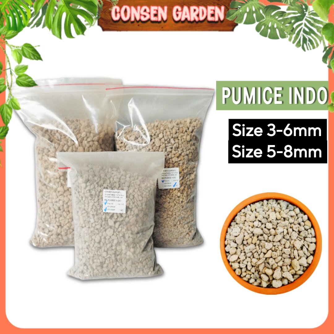Đá pumice indo trộn giá thể, rải mặt trồng sen đá, xr