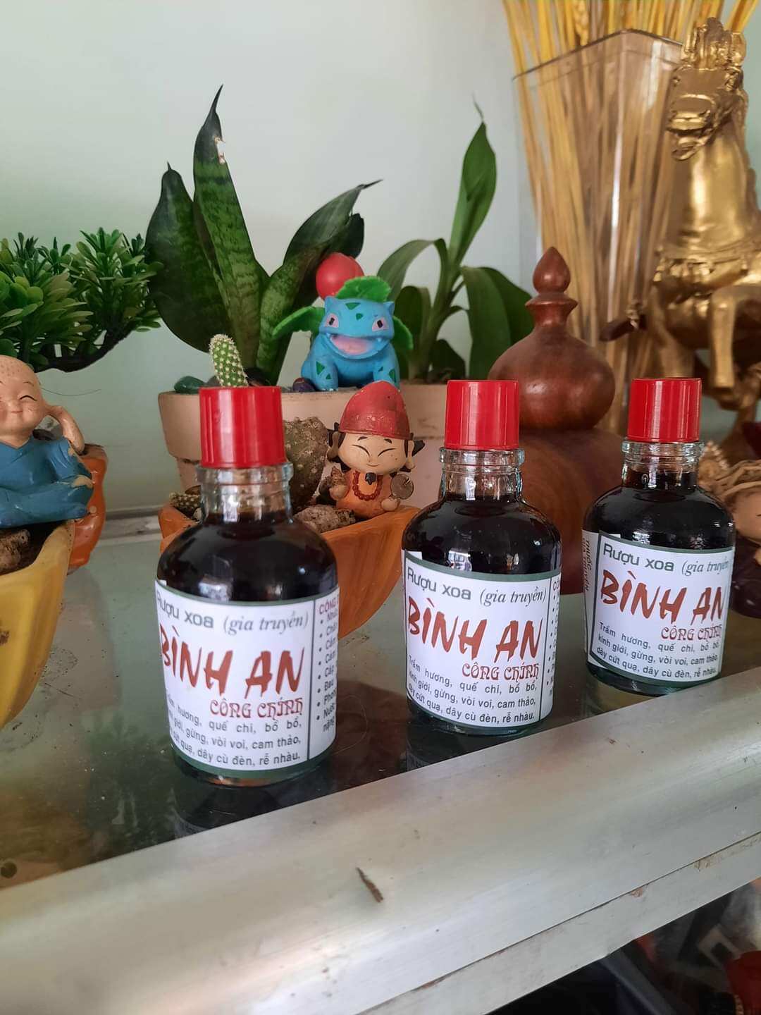 Combo 10 chai dầu xoa bóp gia truyền bình an công chính
