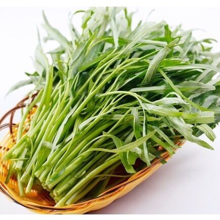 Hạt giống rau muống lá tre