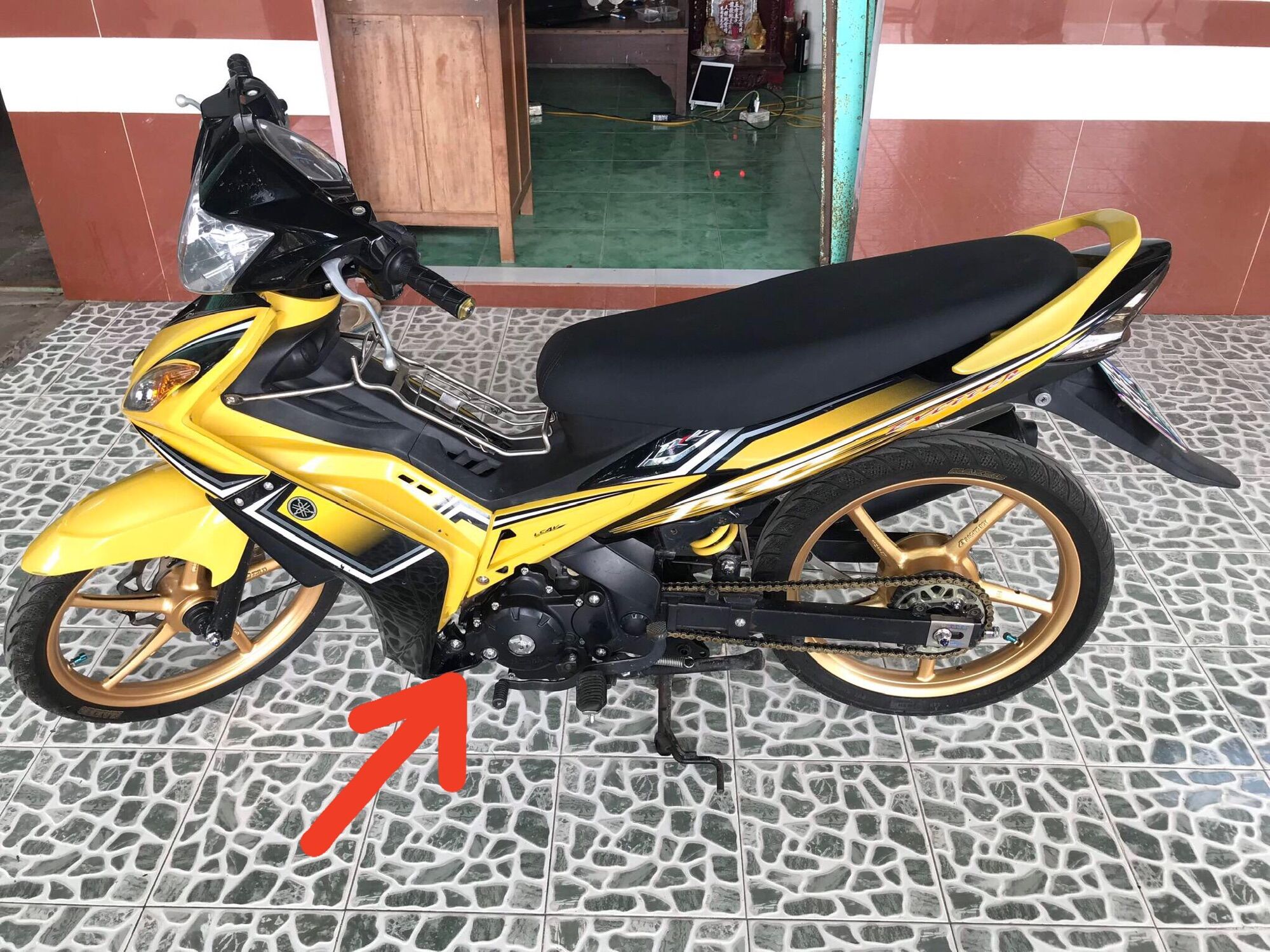 Pas bửng Ex2006-2010.