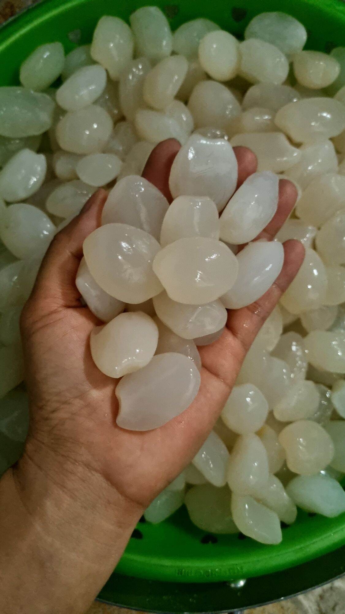 Hạt đác rừng tươi Phú Yên