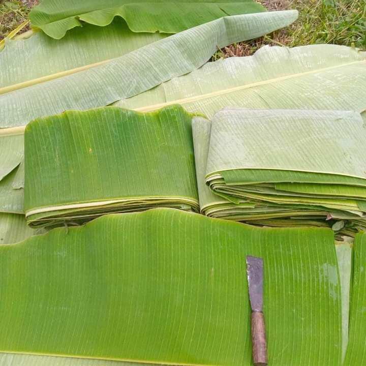 1kg lá chuối tươi về gói bánh