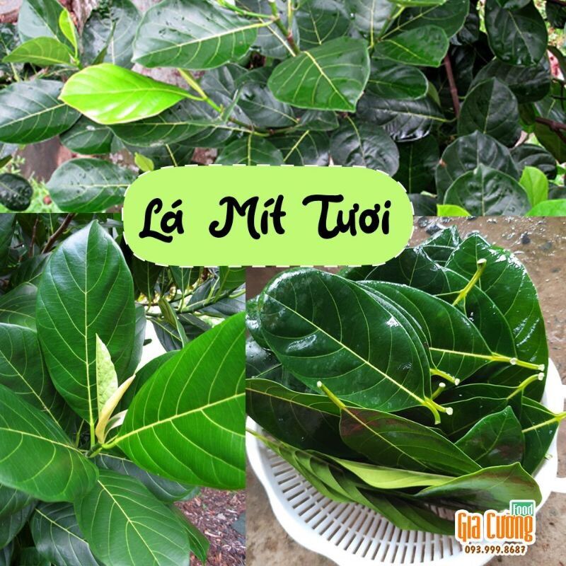 100gram lá mít tươi miền tây
