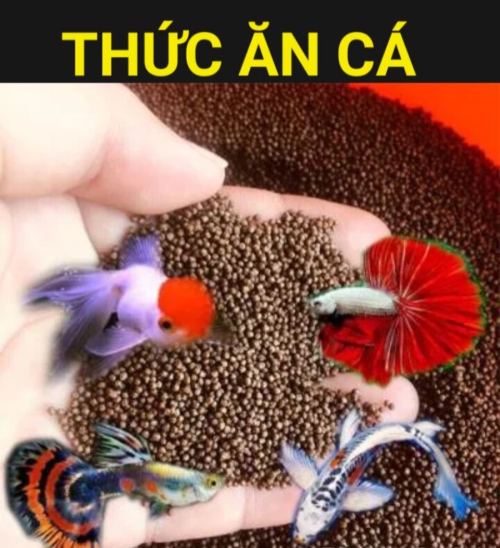 1kg thức ăn cho cá 7 màu,betta,cá vàng và các loại cá cảnh