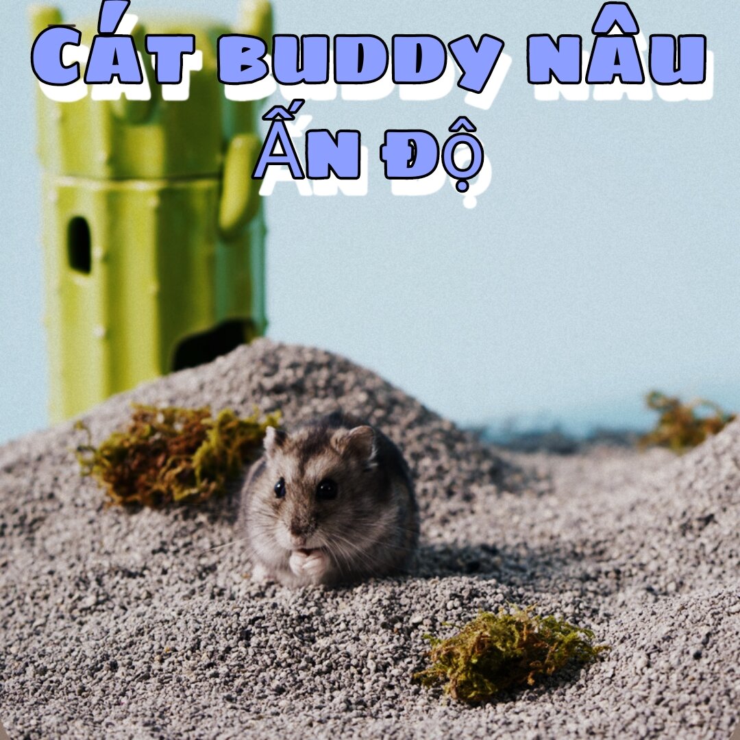 Cát lót chuồng 1kg buddy Ấn Độ cho Hamster