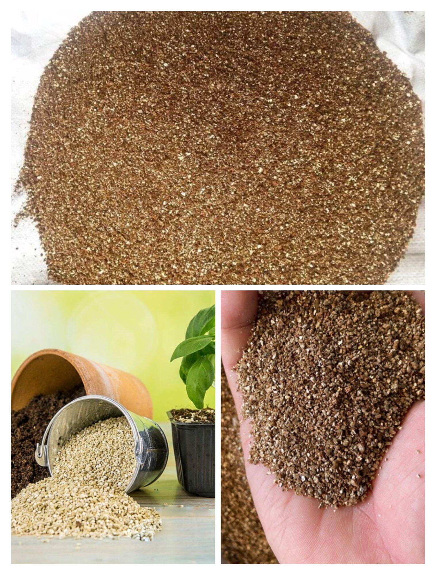 Đá Khoáng Vermiculite | Kiên Bi Garden