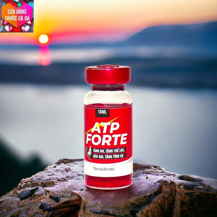 Atp forte tăng nước máu, gà mau cự đá bo lớn chai 10 ml