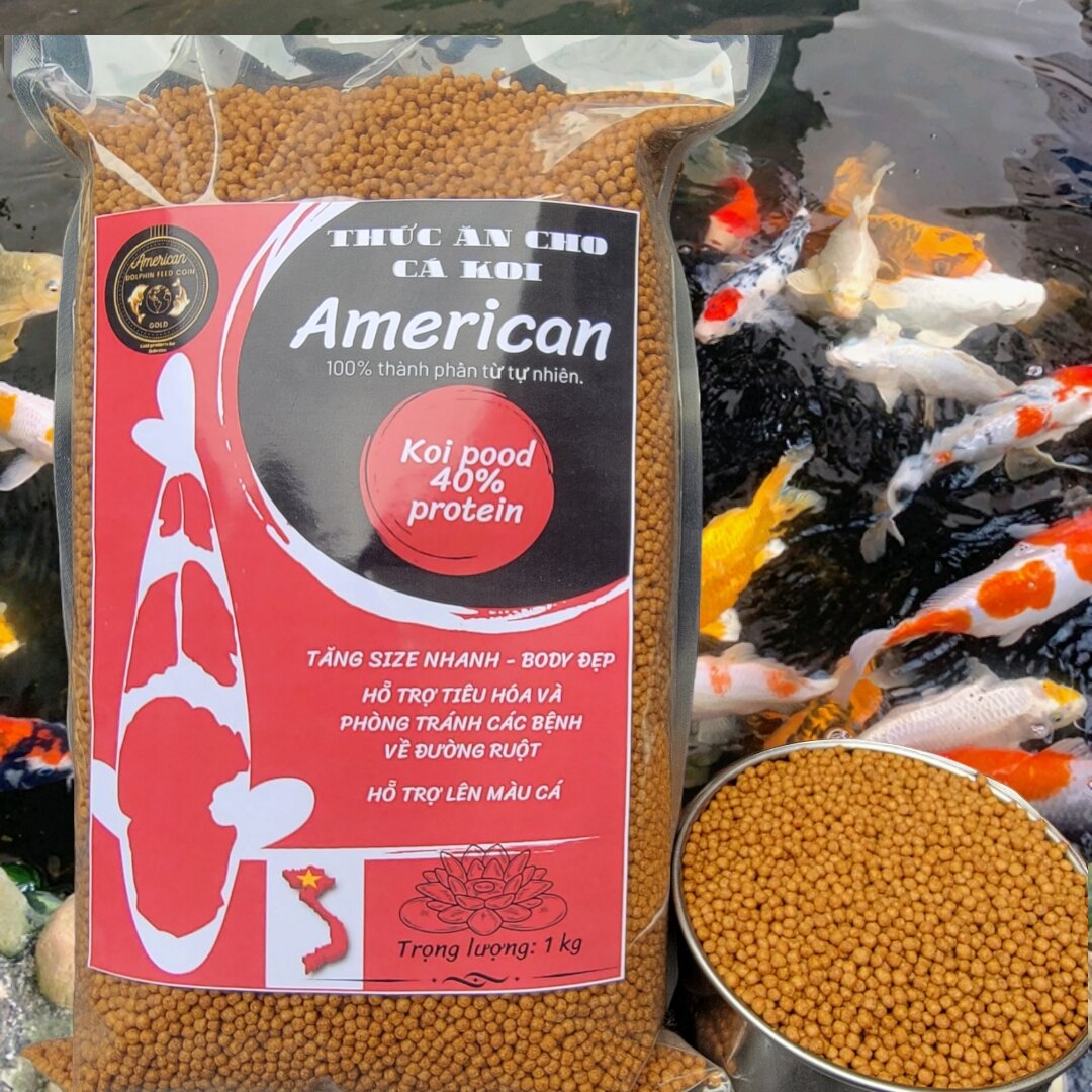 Cám cá koi 40% đạm, thúc size nhanh, body chuẩn