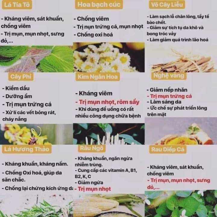 Serum mụn Huyết Mộc Nhan [Cam kết hàng chuẩn]