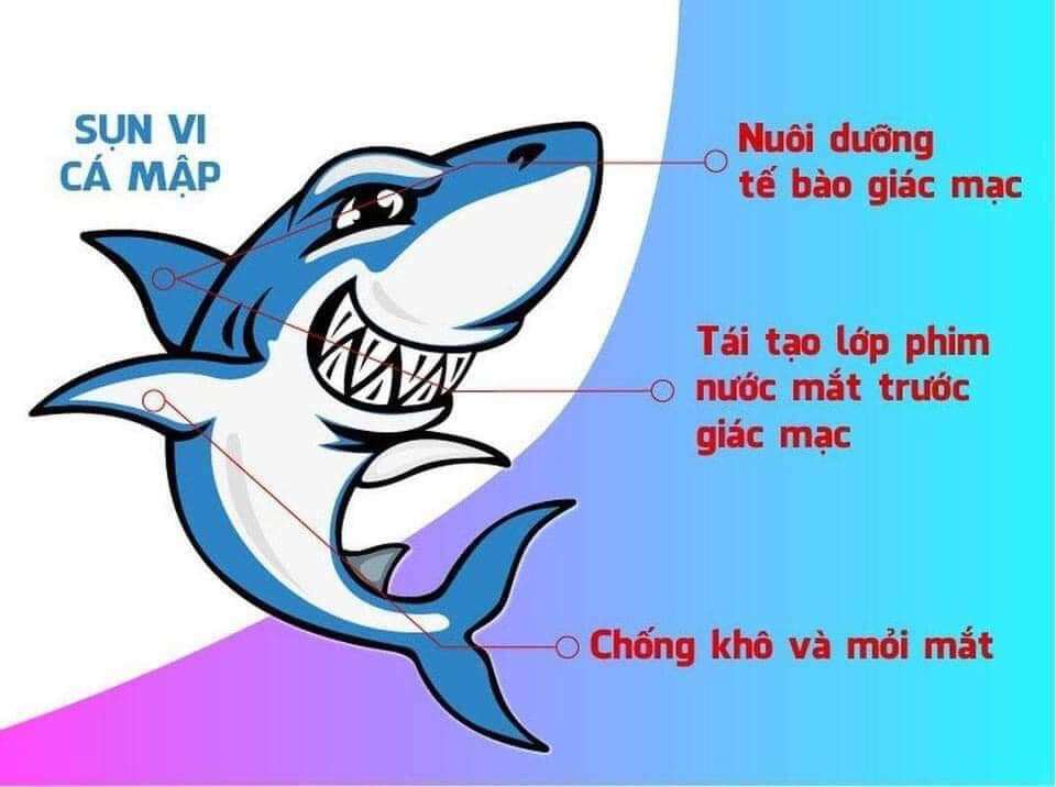 Sụn cá mập Costar Shark Cartilage 365 viên