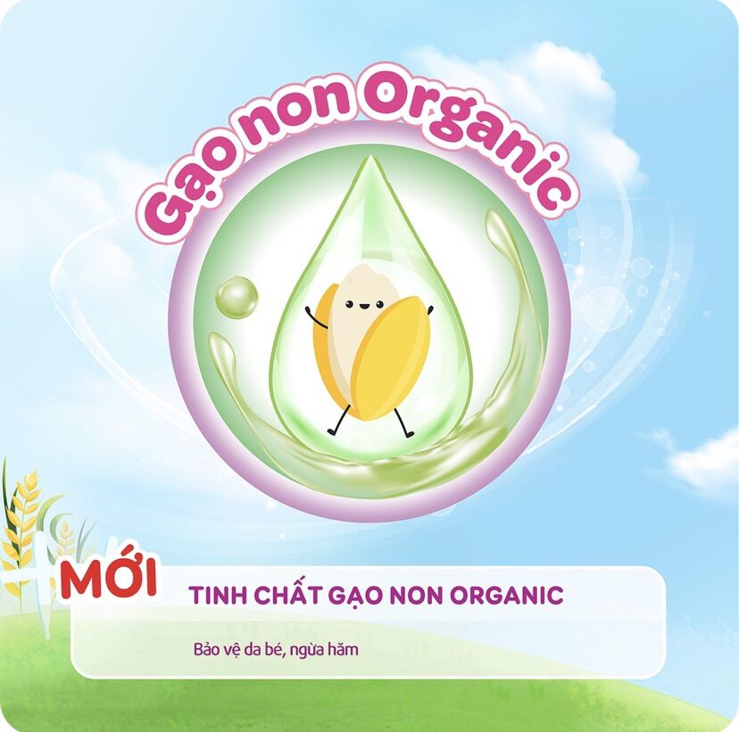 Tả quần Bobby XL84 +8 miếng gạo non mới