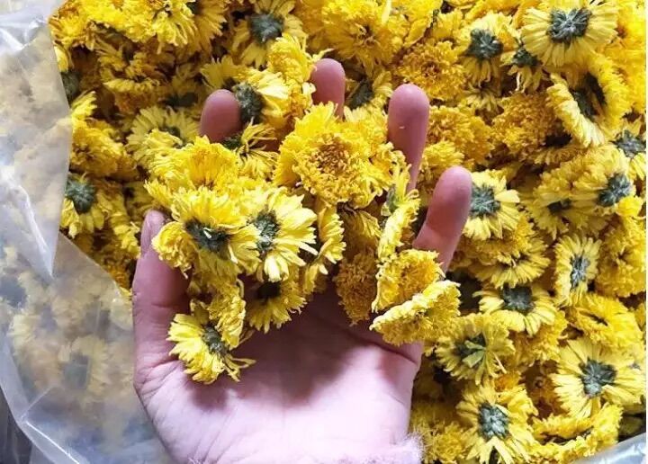 [HCM] 100G Trà Hoa Cúc Vàng Sấy Khô